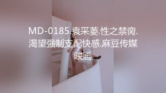 MD-0185.袁采菱.性之禁脔.渴望强制支配快感.麻豆传媒映画