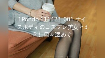 1Pondo 111423_001 ナイスボディのコスプレ美女と3P！ 目々澤めぐ