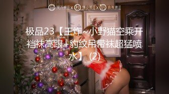 极品23【王炸~小野猫空乘开裆袜高跟+豹纹吊带袜超猛喷水】 (2)