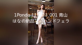 1Pondo 112423_001 青山はなの絶品ノーハンドフェラ！