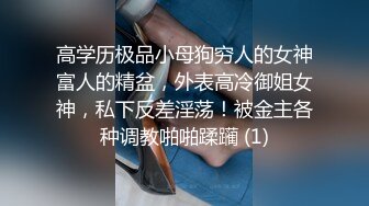 高学历极品小母狗穷人的女神富人的精盆，外表高冷御姐女神，私下反差淫荡！被金主各种调教啪啪蹂躏 (1)