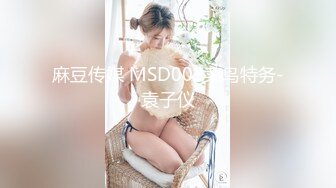 麻豆传媒 MSD003菜鸟特务-袁子仪