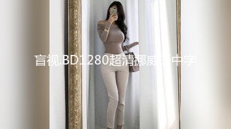 盲视.BD1280超清挪威语中字