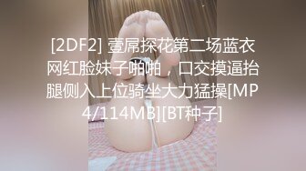 [2DF2] 壹屌探花第二场蓝衣网红脸妹子啪啪，口交摸逼抬腿侧入上位骑坐大力猛操[MP4/114MB][BT种子]