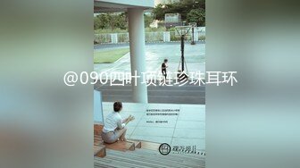 @090四叶项链珍珠耳环