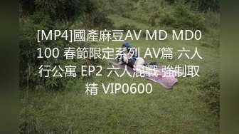 [MP4]國產麻豆AV MD MD0100 春節限定系列 AV篇 六人行公寓 EP2 六人混戰 強制取精 VIP0600