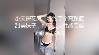 小天探花第二场约了个高颜值甜美妹子，特写口交性感黑丝骑乘大力猛操