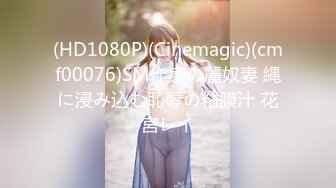 (HD1080P)(Cinemagic)(cmf00076)SM作家の麗奴妻 縄に浸み込む恥辱の粘膜汁 花宮レイ