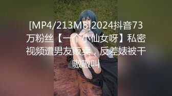 [MP4/213MB]2024抖音73万粉丝【一个小仙女呀】私密视频遭男友贩卖，反差婊被干嗷嗷叫