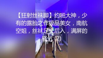 【狂射丝袜脚】约啪大神，少有的露脸之作极品美女，南航空姐，丝袜足交后入，满屏的骚气 (2)