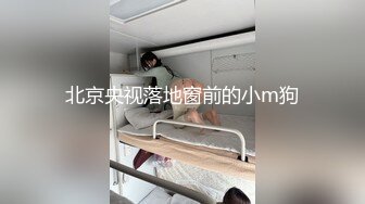 北京央视落地窗前的小m狗