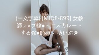 (中文字幕) [MIDE-899] 女教師レ×プ輪●～エスカレートする強●恥辱～ 葵いぶき