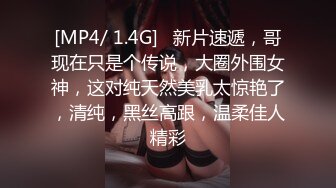 [MP4/ 1.4G]   新片速遞，哥现在只是个传说，大圈外围女神，这对纯天然美乳太惊艳了，清纯，黑丝高跟，温柔佳人精彩