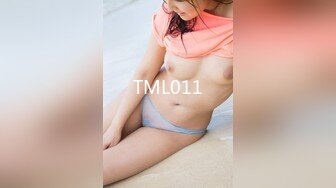 TML011