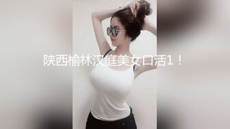 陕西榆林汉庭美女口活1！