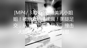 [MP4/ 3.18G] 嫩嫩美乳小姐姐！被炮友尽情蹂躏！美腿足交，从下往上视角后入，撞击大肥臀，操完不尽兴自慰