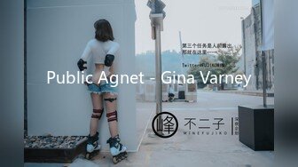 Public Agnet - Gina Varney