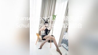 Transexjapan流出妖娆美妖TSchulin官方原片超清22部合集 (11)