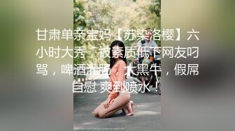 甘肃单亲宝妈【苏染洛樱】六小时大秀，被素质低下网友叼骂，啤酒灌肠，大黑牛，假屌自慰 爽到喷水！